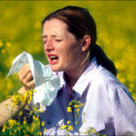 Hay Fever