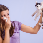 Stop Allergy To Cats