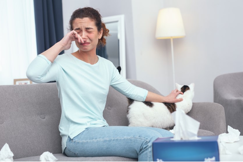 allergy to cats