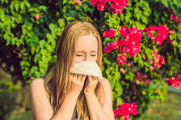 Allergies in portland