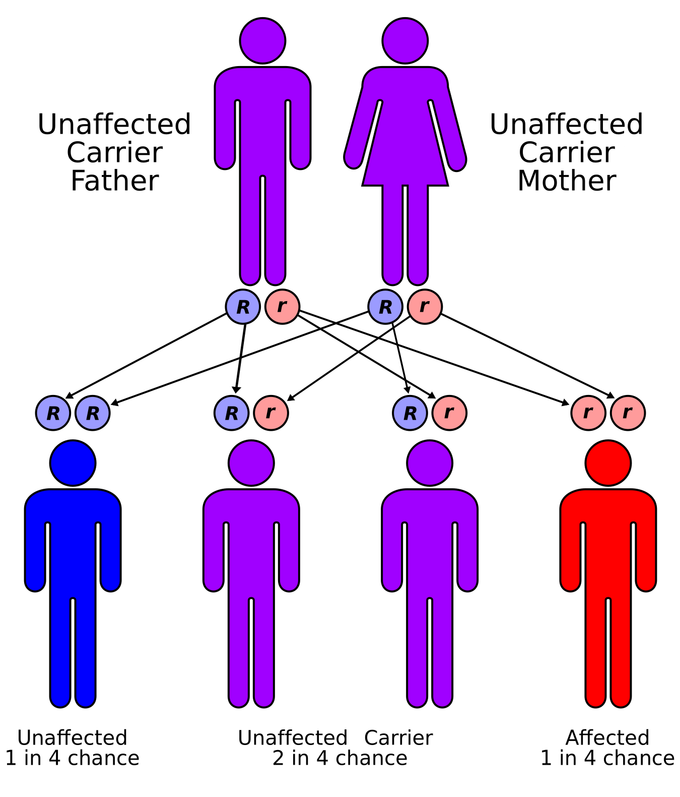 allergy tension fatigue syndrome-family history