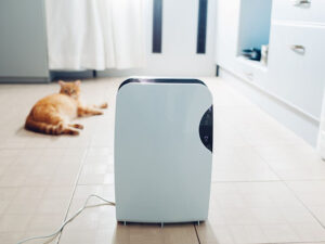 Air purifier